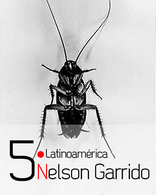 Nelson Garrido